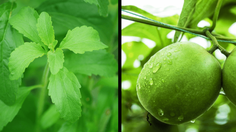 Stevia VS Monk Fruit - What to Choose