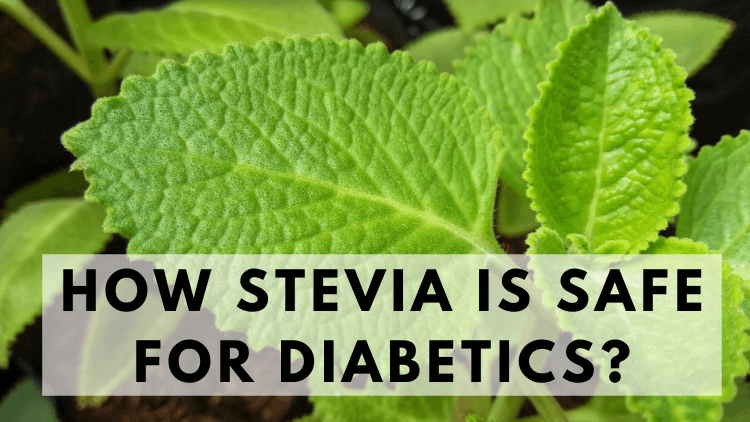 How Stevia is Safe For Diabetics