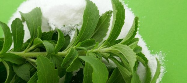 Stevia Health Benefits